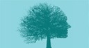 Tree logo GGCA